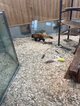 名古屋市東山動植物園に投稿された画像（2025/5/15）