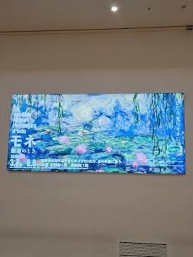 モネ　睡蓮のときに投稿された画像（2025/5/15）