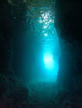 武藤潜水に投稿された画像（2025/5/15）