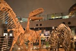 福井県立恐竜博物館に投稿された画像（2025/5/15）