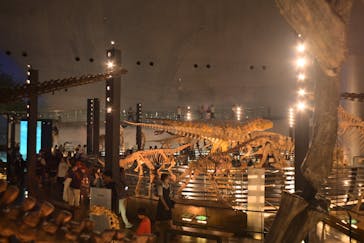 福井県立恐竜博物館に投稿された画像（2025/5/15）