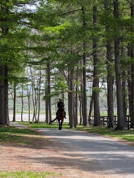 ノーザンホースパークに投稿された画像（2025/5/15）