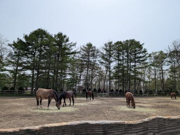 ノーザンホースパークに投稿された画像（2025/5/15）