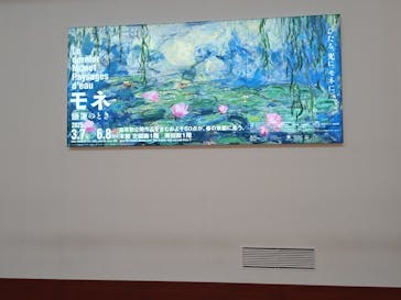 モネ　睡蓮のときに投稿された画像（2025/5/15）