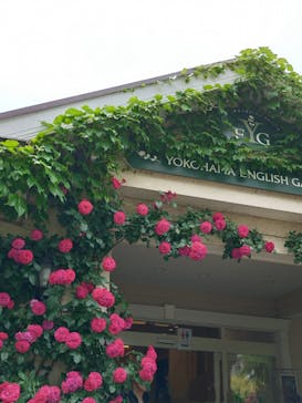 横浜イングリッシュガーデンに投稿された画像（2025/5/15）