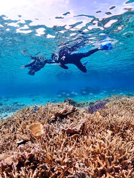 SUNSHINE MARIN 宮古島に投稿された画像（2025/5/15）