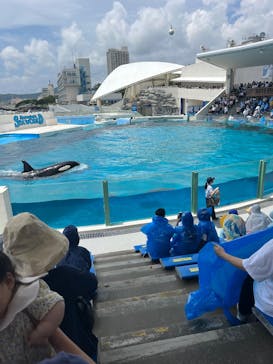 鴨川シーワールドに投稿された画像（2025/5/15）