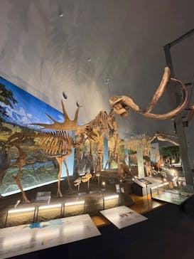 福井県立恐竜博物館に投稿された画像（2025/5/15）