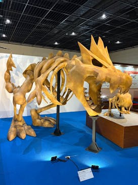福井県立恐竜博物館に投稿された画像（2025/5/15）
