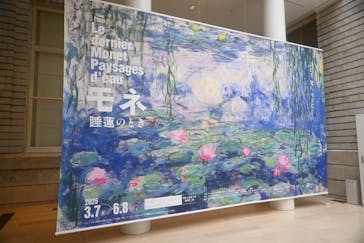 モネ　睡蓮のときに投稿された画像（2025/5/15）