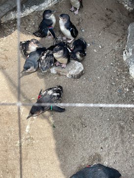 葛西臨海水族園に投稿された画像（2025/5/15）