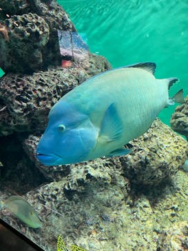 葛西臨海水族園に投稿された画像（2025/5/15）