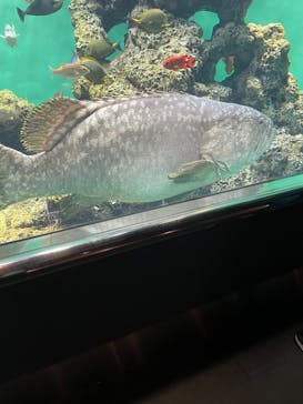 葛西臨海水族園に投稿された画像（2025/5/15）