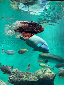 葛西臨海水族園に投稿された画像（2025/5/15）