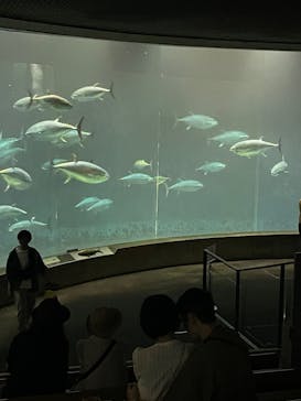 葛西臨海水族園に投稿された画像（2025/5/15）