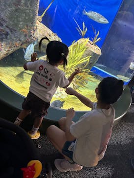 アクアワールド茨城県大洗水族館に投稿された画像（2025/5/15）