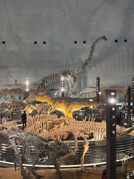 福井県立恐竜博物館に投稿された画像（2025/5/15）