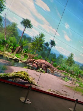 福井県立恐竜博物館に投稿された画像（2025/5/15）