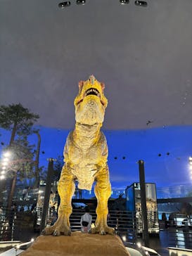 福井県立恐竜博物館に投稿された画像（2025/5/15）