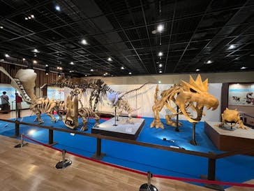 福井県立恐竜博物館に投稿された画像（2025/5/15）