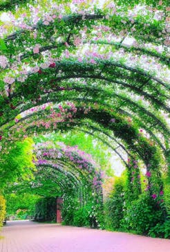 横浜イングリッシュガーデンに投稿された画像（2025/5/15）