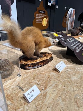  うんち展　-No UNCHI, No LIFE-に投稿された画像（2025/5/15）