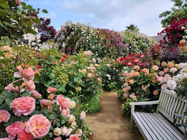 横浜イングリッシュガーデンに投稿された画像（2025/5/15）