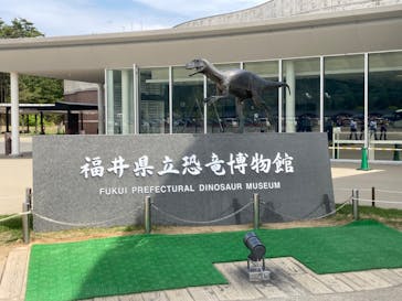 福井県立恐竜博物館に投稿された画像（2025/5/15）