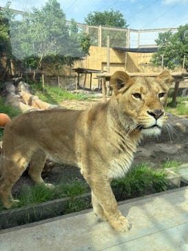 東武動物公園に投稿された画像（2025/5/15）