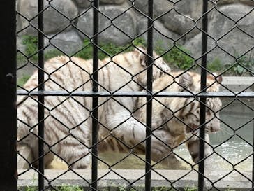 東武動物公園に投稿された画像（2025/5/15）