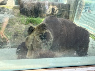 東武動物公園に投稿された画像（2025/5/15）