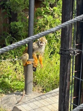 東武動物公園に投稿された画像（2025/5/15）