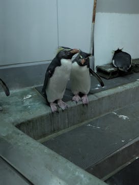 AOAO SAPPOROに投稿された画像（2025/5/15）