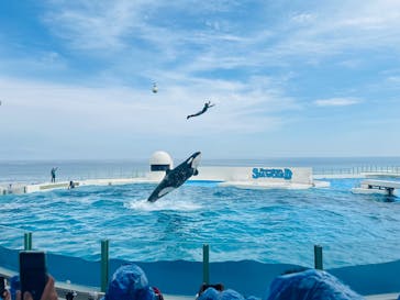 鴨川シーワールドに投稿された画像（2025/5/15）