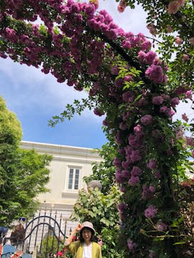 横浜イングリッシュガーデンに投稿された画像（2025/5/15）