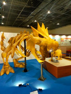 福井県立恐竜博物館に投稿された画像（2025/5/15）