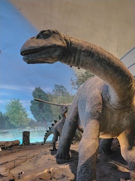 福井県立恐竜博物館に投稿された画像（2025/5/15）