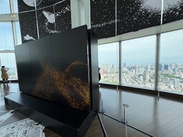 手塚治虫「火の鳥」展－火の鳥は、エントロピー増大と抗う動的平衡＝宇宙生命の象徴－に投稿された画像（2025/5/16）