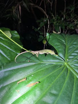 Nami宮古島に投稿された画像（2025/5/16）