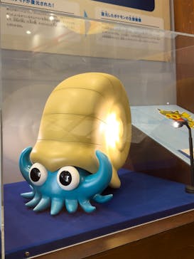 福井県立恐竜博物館に投稿された画像（2025/5/16）