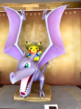 福井県立恐竜博物館に投稿された画像（2025/5/16）