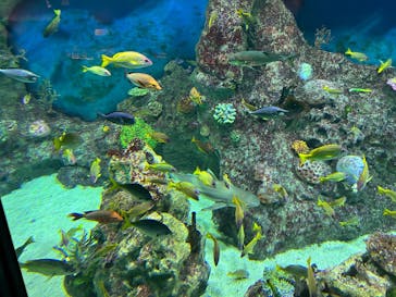 レゴランドⓇ・ジャパン・リゾートに投稿された画像（2025/5/16）