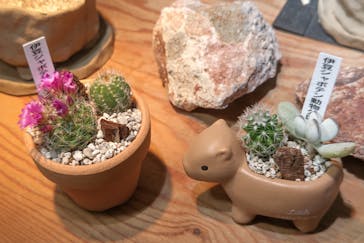 伊豆シャボテン動物公園に投稿された画像（2025/5/16）