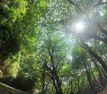 石垣島 ADVENTURE PiPi（イシガキジマアドベンチャーピピ）に投稿された画像（2025/5/16）