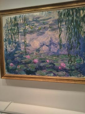 モネ　睡蓮のときに投稿された画像（2025/5/16）