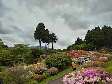 日帰り温泉湯の里おかだに投稿された画像（2025/5/16）