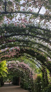 横浜イングリッシュガーデンに投稿された画像（2025/5/16）