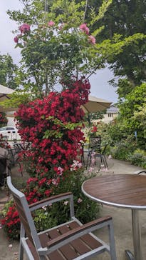 横浜イングリッシュガーデンに投稿された画像（2025/5/16）