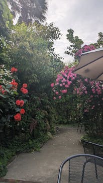 横浜イングリッシュガーデンに投稿された画像（2025/5/16）