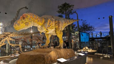 福井県立恐竜博物館に投稿された画像（2025/5/16）